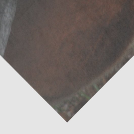 Decoupage Customizable Humorous Horse Print 薄葉紙 (詳細)