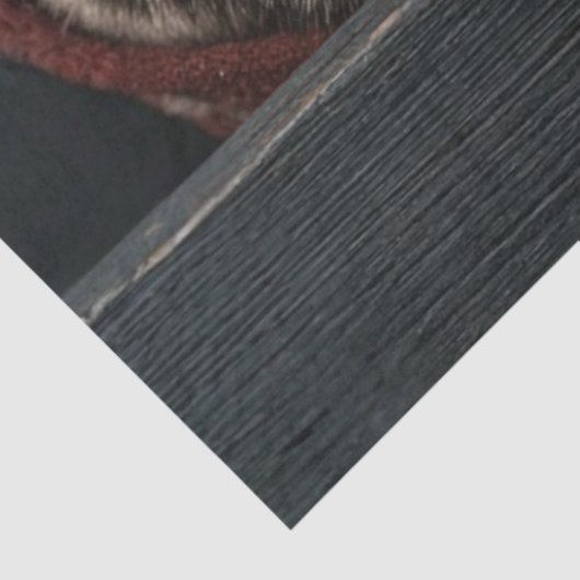 Decoupage Daniel Boone Santa Claus Peek Art  薄葉紙 (詳細)