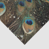 Decoupage Fantasy Peacock Woman Teals Feathers 薄葉紙 (詳細)