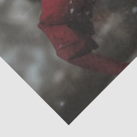 Decoupage Fantasy Witch Dressed in Red Winter  薄葉紙 (詳細)