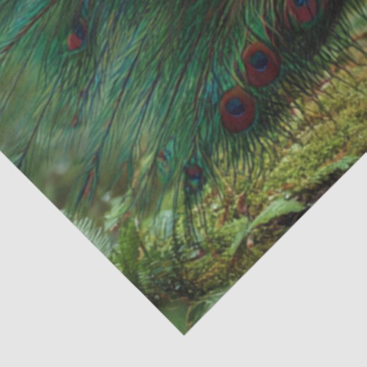 Decoupage Forestry Regal Peacock  薄葉紙 (詳細)