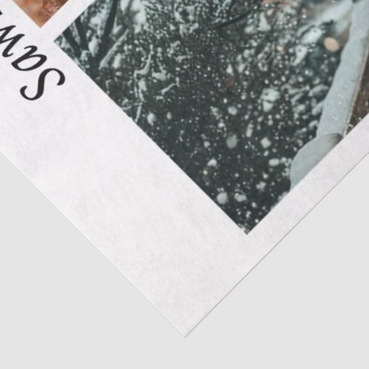 Decoupage Fox Forest Scenes Handsaw Panels  薄葉紙 (詳細)