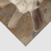 Decoupage Goat Rustic Farm 18x24 Canvas  薄葉紙 (詳細)