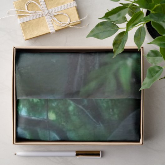 Decoupage Gothic Forest Witch Fantasy Art 薄葉紙 (ギフト)