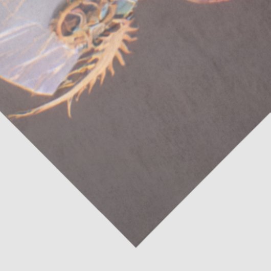 Decoupage Gothic Skeleton Prism Bones 薄葉紙 (詳細)