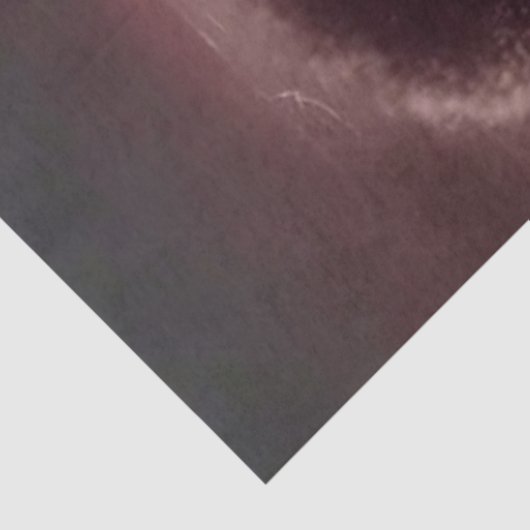 Decoupage Halloween Mr & Mrs. Bolt Horror Duo 薄葉紙 (詳細)