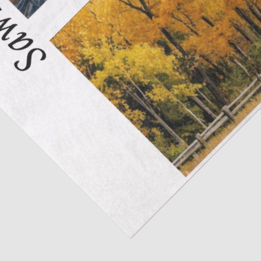 Decoupage Handsaw Designs Red Barn, Yellow Barn, 薄葉紙 (詳細)