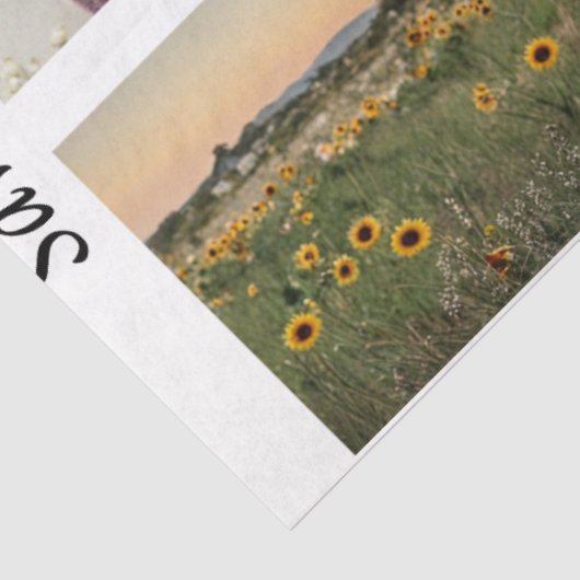 Decoupage Handsaw Designs Rooster Donkey Truck  薄葉紙 (詳細)