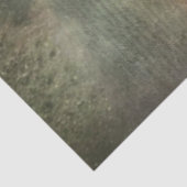 Decoupage Highland Calf Winter Floral Art  薄葉紙 (詳細)