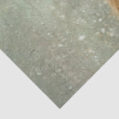 Decoupage Highland Calf Winter Handwritten Script 薄葉紙 (詳細)