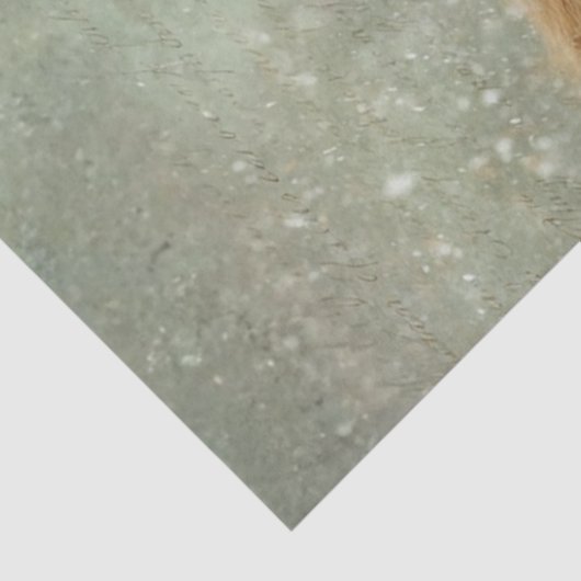 Decoupage Highland Calf Winter Handwritten Script 薄葉紙 (詳細)