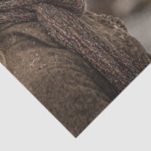 Decoupage Highland Cow Meets Kindred Spirit  薄葉紙 (詳細)