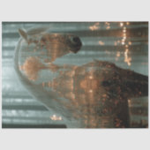 Decoupage Horse Forest Double Exposure  薄葉紙 (正面)