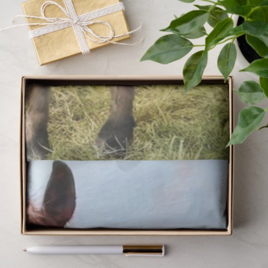 Decoupage Horse in Field Rainbow  薄葉紙 (ギフト)