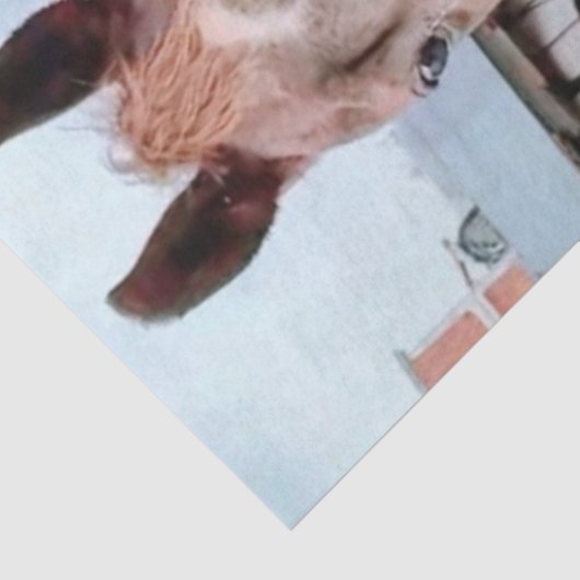 Decoupage Horse in Field Rainbow  薄葉紙 (詳細)