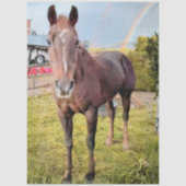 Decoupage Horse in Field Rainbow 薄葉紙 (正面)