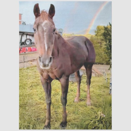Decoupage Horse in Field Rainbow  薄葉紙 (正面)