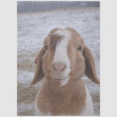 Decoupage Jerry Goat 薄葉紙 (正面)