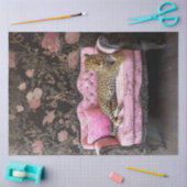 Decoupage Leopard On Pink Velvet French Couch 薄葉紙 (クラフト)