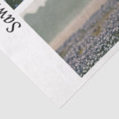 Decoupage Longhorn Wester Papers Sawblades 薄葉紙 (詳細)