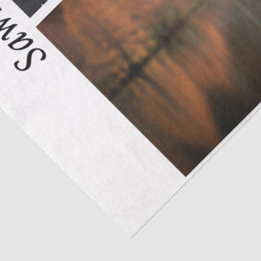 Decoupage Longhorns Bluebonnets Trees Handsaws 薄葉紙 (詳細)