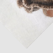 Decoupage Minstrel Mice Fur Feather Funk Band 薄葉紙 (詳細)