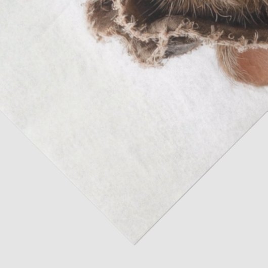 Decoupage Minstrel Mice Fur Feather Funk Band 薄葉紙 (詳細)