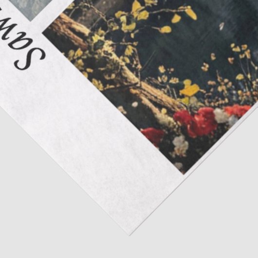 Decoupage Moonlit Castles Signs & Handsaws 薄葉紙 (詳細)