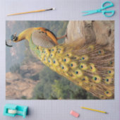 Decoupage Mountain Majestic Peacock Golden  薄葉紙 (クラフト)