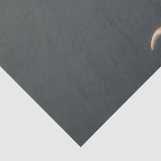 Decoupage Musical Cow Trio Fur Feathers Funk Band 薄葉紙 (詳細)