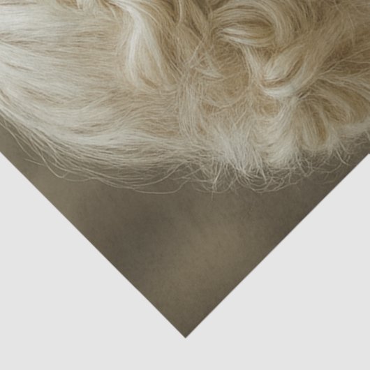 Decoupage Mystical Woman In Ivory With Owl  薄葉紙 (詳細)