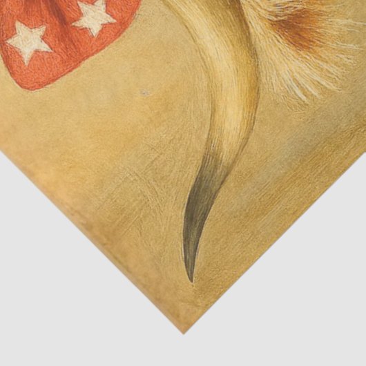 Decoupage Patriotic Highland Ballerina Tutu  薄葉紙 (詳細)