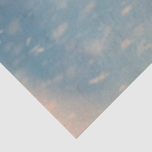 Decoupage Polar Bear Winter Scene Sleeping  薄葉紙 (詳細)