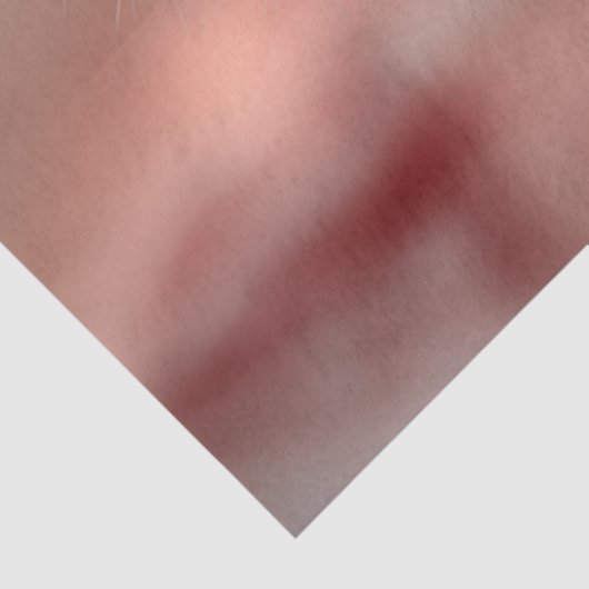 Decoupage Pompous Pete Prissy Pink Broghter 薄葉紙 (詳細)