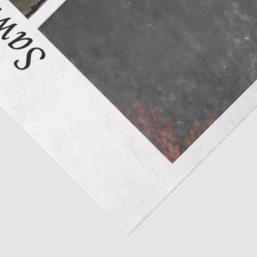 Decoupage Proud Firefighters American Flag  薄葉紙 (詳細)