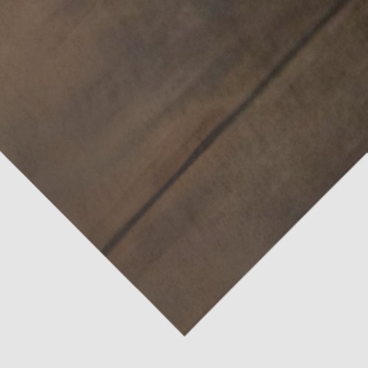 Decoupage Pumpkin Black Cat Spider for Halloween  薄葉紙 (詳細)