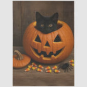 Decoupage Pumpkin Black Cat Spider for Halloween  薄葉紙 (正面)