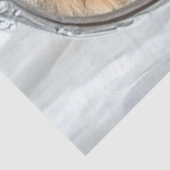 Decoupage Reflection Self of Kitten and Lion 薄葉紙 (詳細)