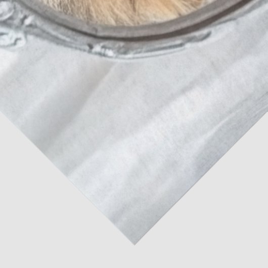 Decoupage Reflection Self of Kitten and Lion  薄葉紙 (詳細)