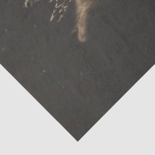 Decoupage Regal Royalty Wolf  Portrait 薄葉紙 (詳細)