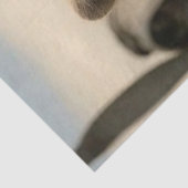 Decoupage Retro Aviation Racoon Leather Jacket  薄葉紙 (詳細)