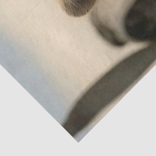 Decoupage Retro Aviation Racoon Leather Jacket  薄葉紙 (詳細)