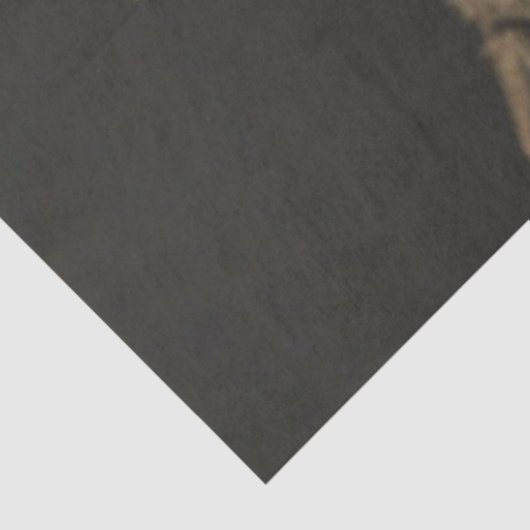 Decoupage Royal Gothic Wolf Art Poster 薄葉紙 (詳細)