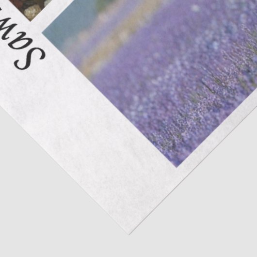 Decoupage Running Horses Rustic Wild Horse Handsaw 薄葉紙 (詳細)