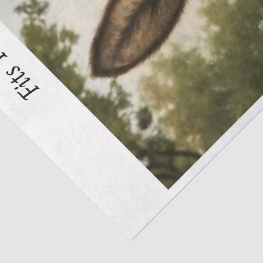 Decoupage Rustic Donkey Barn Farmhouse 16x20  薄葉紙 (詳細)