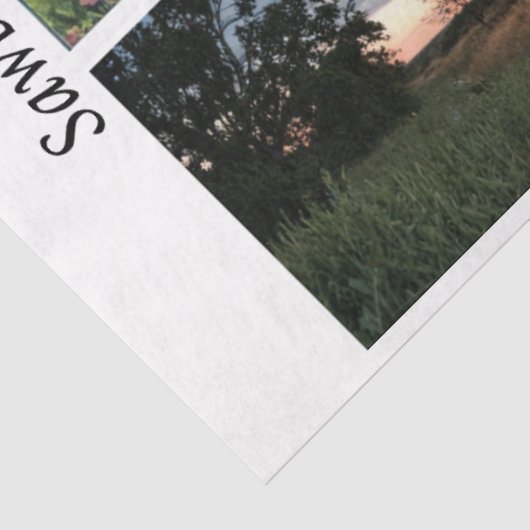 Decoupage Rustic Farm Style 26x6 for Handsaws 薄葉紙 (詳細)