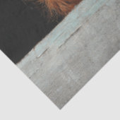 Decoupage Rustic Highland Calf Peek a Boo Art  薄葉紙 (詳細)