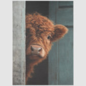 Decoupage Rustic Highland Calf Peek a Boo Art  薄葉紙 (正面)