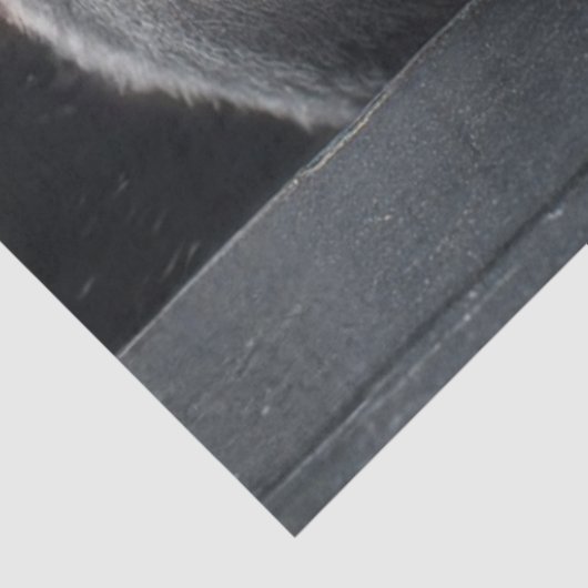 Decoupage Santa Claus From Crypt Sneak Peek Art 薄葉紙 (詳細)