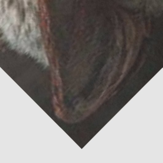 Decoupage Santa Surprise Peeking Around Door  薄葉紙 (詳細)